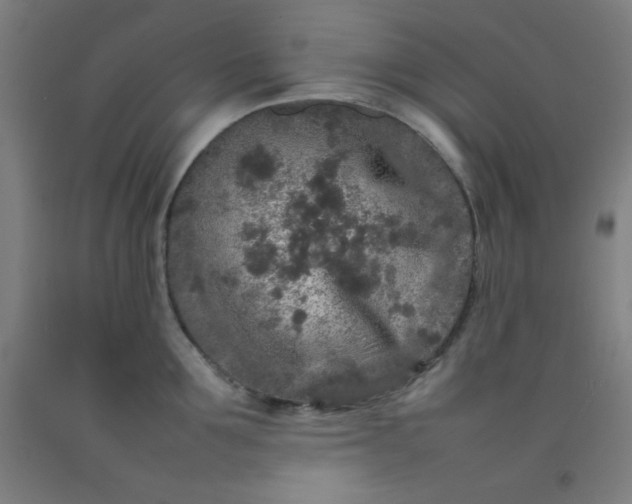 X0000092210907200709281020