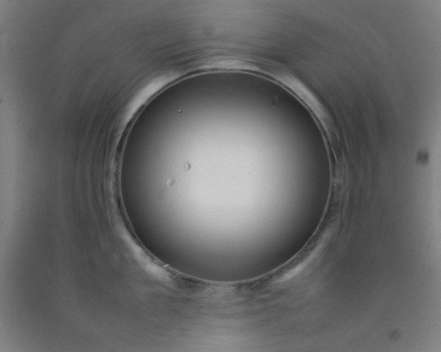 X0000092210909200709281020