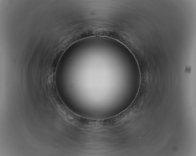 X0000092210914200709281020