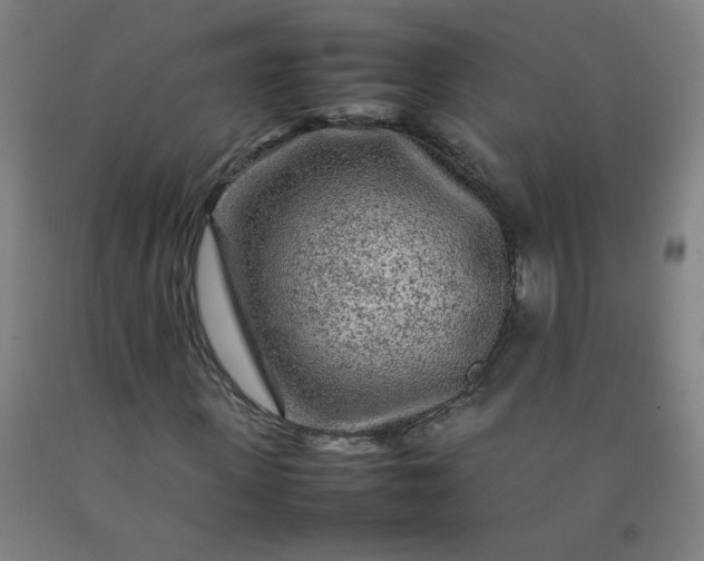 X0000092210915200709281020