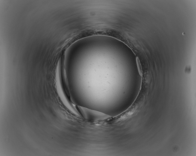 X0000092210916200709281020