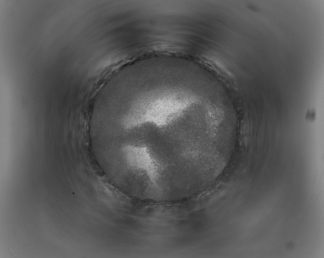 X0000092210917200709281020