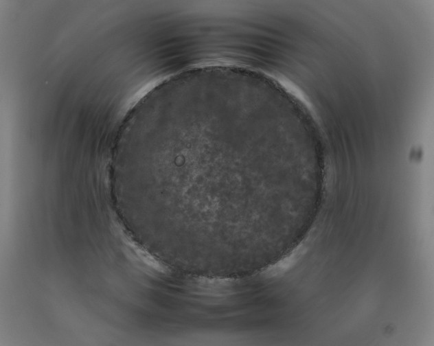 X0000092210921200709281020