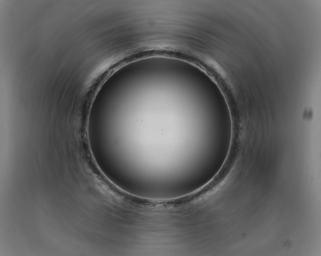 X0000092210922200709281020