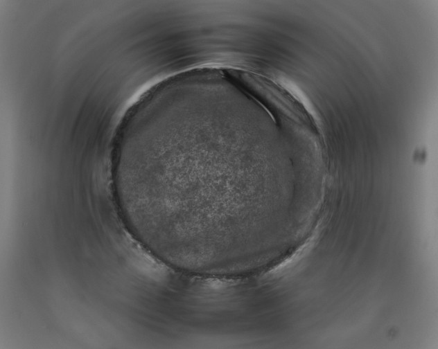 X0000092210923200709281020