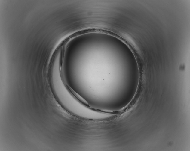 X0000092210924200709281020