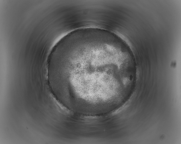 X0000092210925200709281020