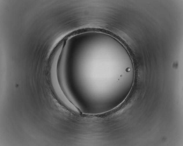 X0000092210926200709281020