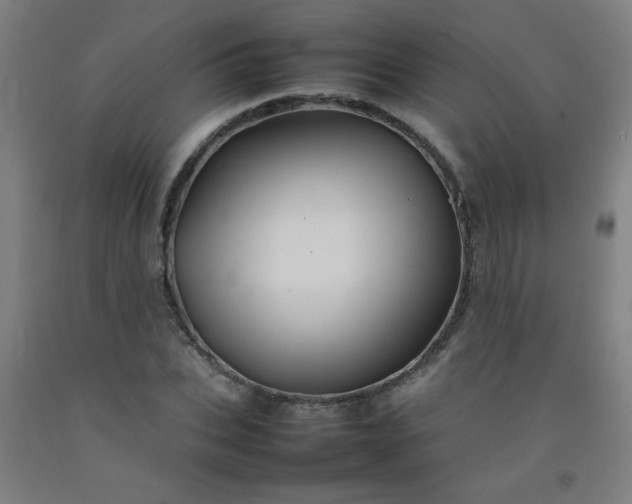 X0000092210927200709281020