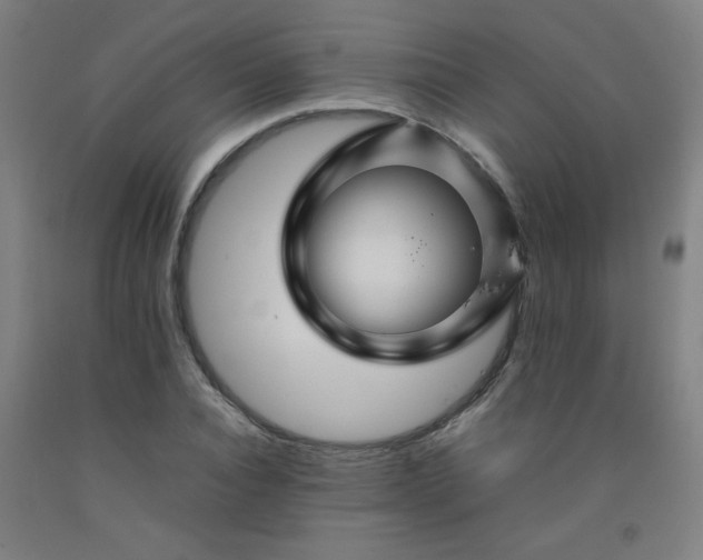 X0000092210928200709281020