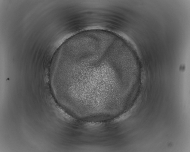 X0000092210929200709281020