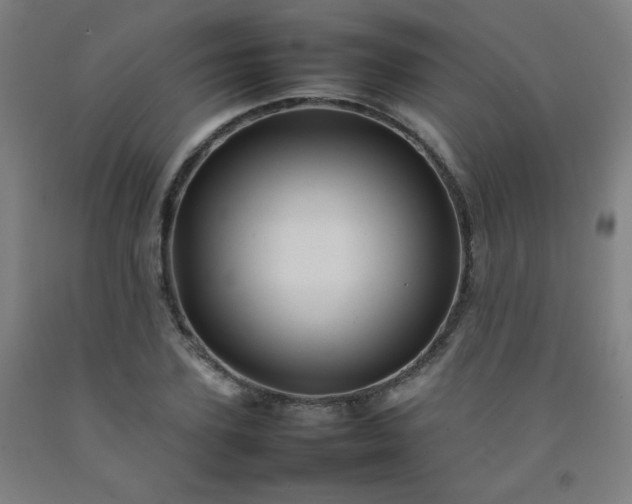 X0000092210931200709281020