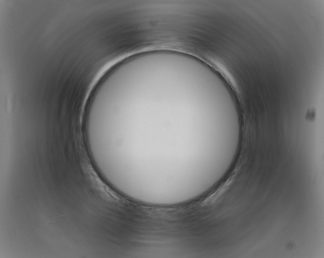 X0000092210932200709281020