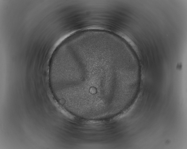 X0000092210933200709281020