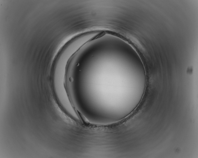 X0000092210934200709281020