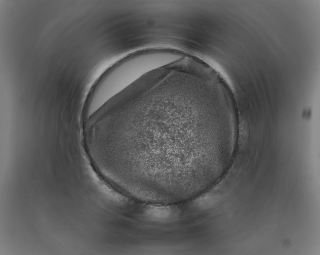 X0000092210935200709281020