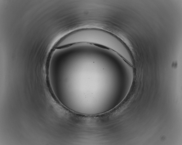 X0000092210936200709281020