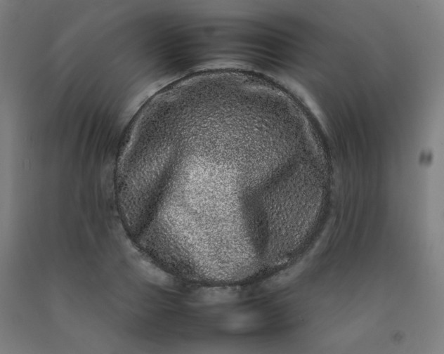 X0000092210937200709281020