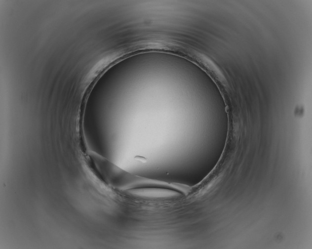 X0000092210938200709281020