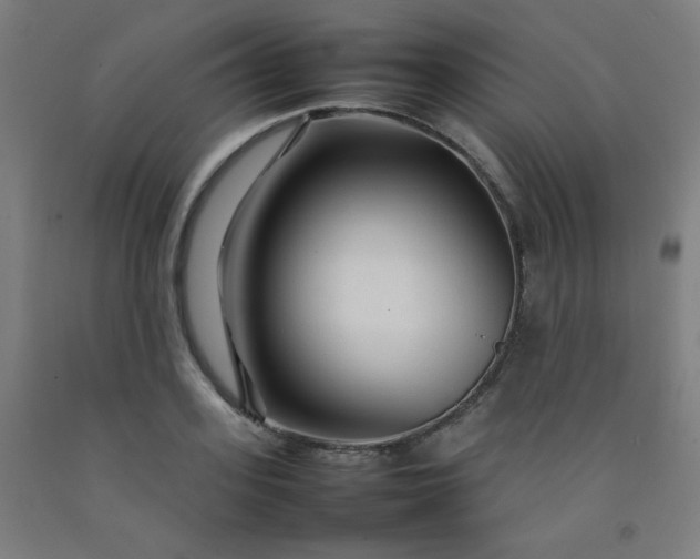 X0000092210939200709281020