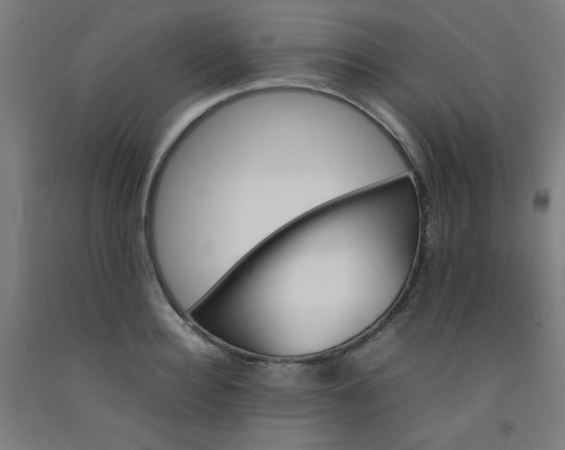 X0000092210940200709281020