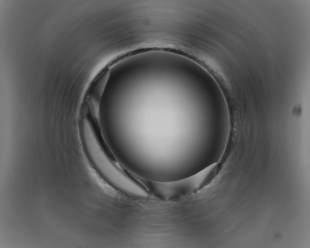 X0000092210942200709281020