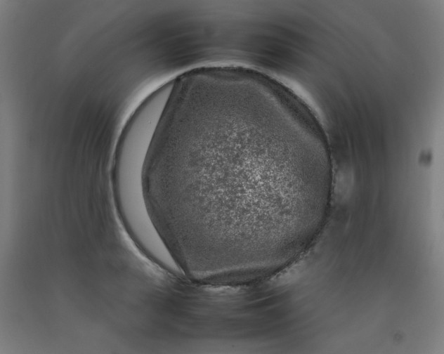 X0000092210943200709281020