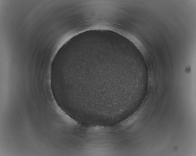 X0000092210950200709281020