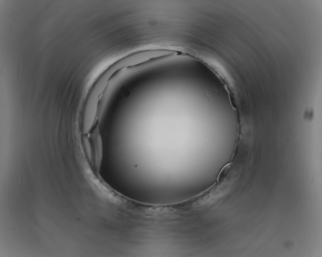 X0000092210952200709281020