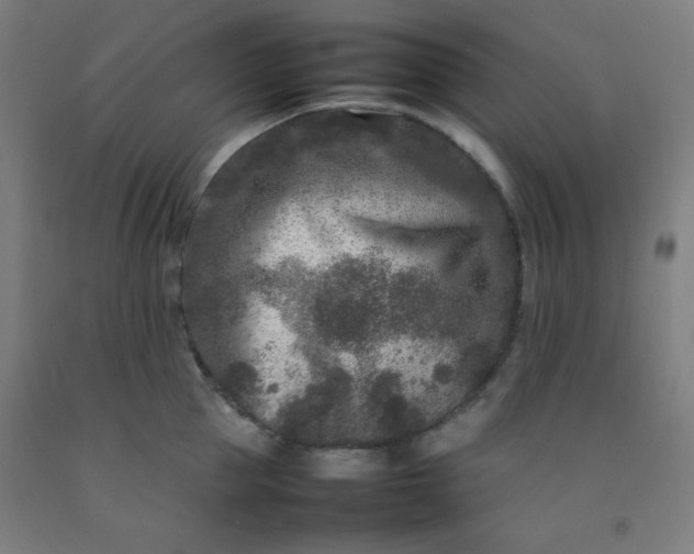 X0000092210953200709281020