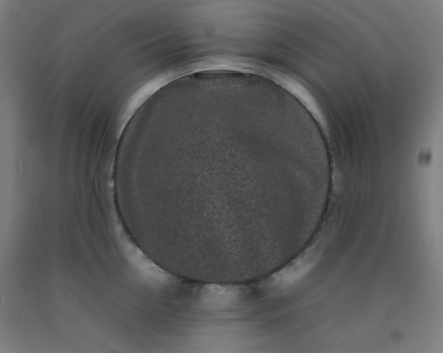 X0000092210954200709281020