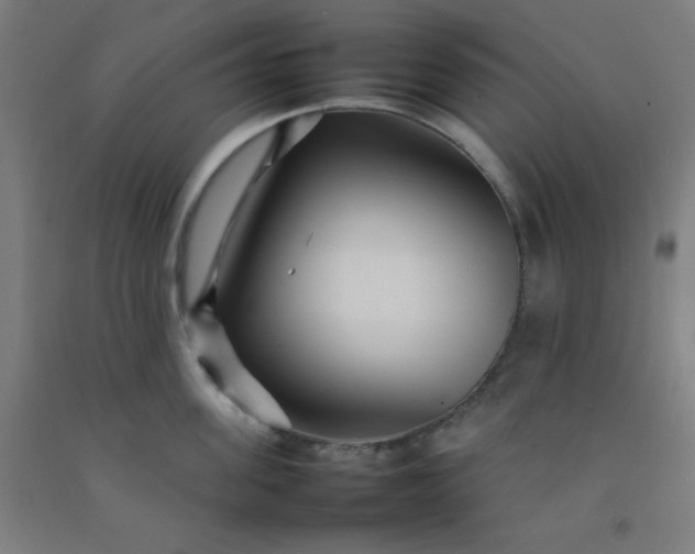 X0000092210955200709281020