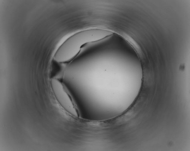 X0000092210956200709281020