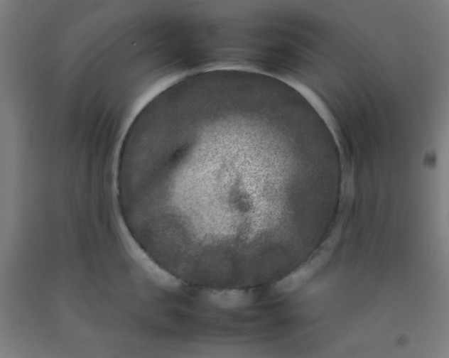 X0000092210957200709281020