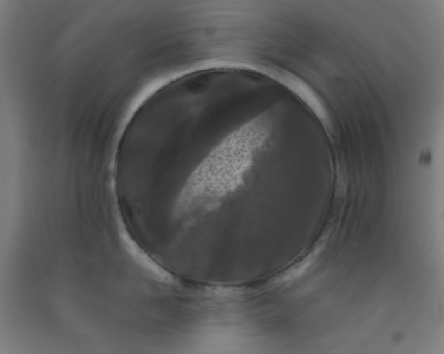 X0000092210958200709281020