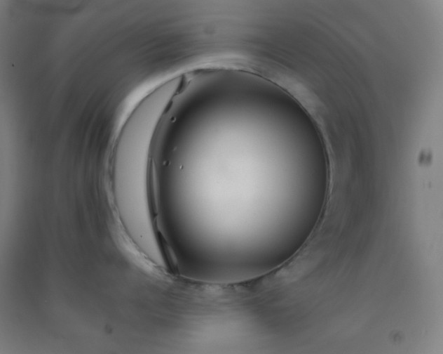 X0000092210960200709281020