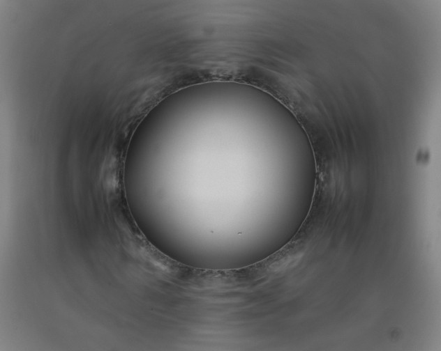 X0000092210962200709281020