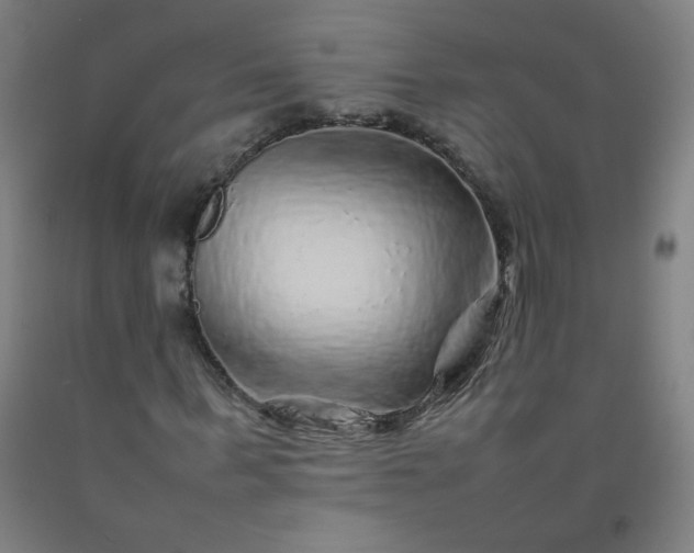 X0000092210963200709281020