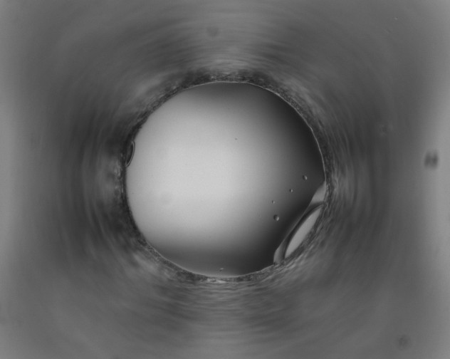 X0000092210964200709281020