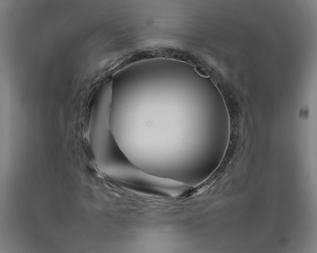 X0000092210965200709281020