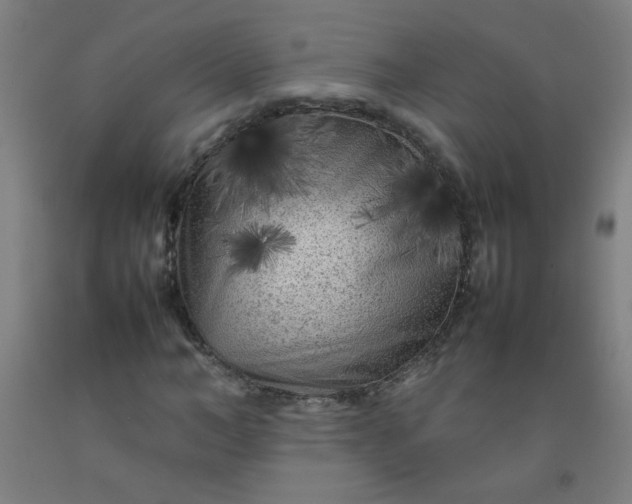 X0000092210966200709281020