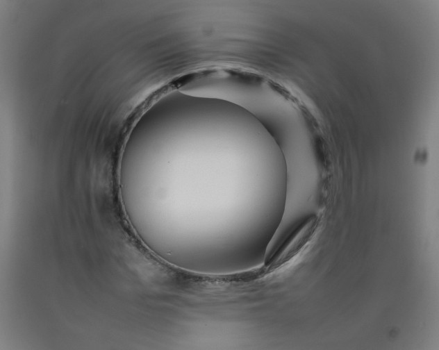 X0000092210969200709281020