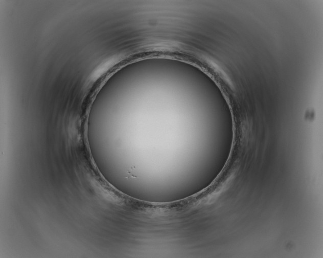 X0000092210970200709281020