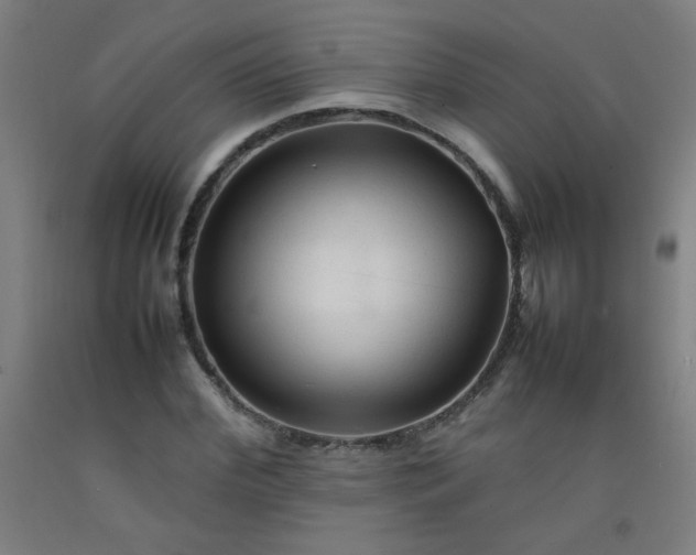 X0000092210972200709281020