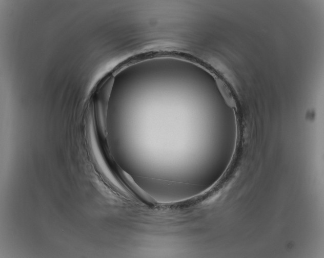 X0000092210973200709281019