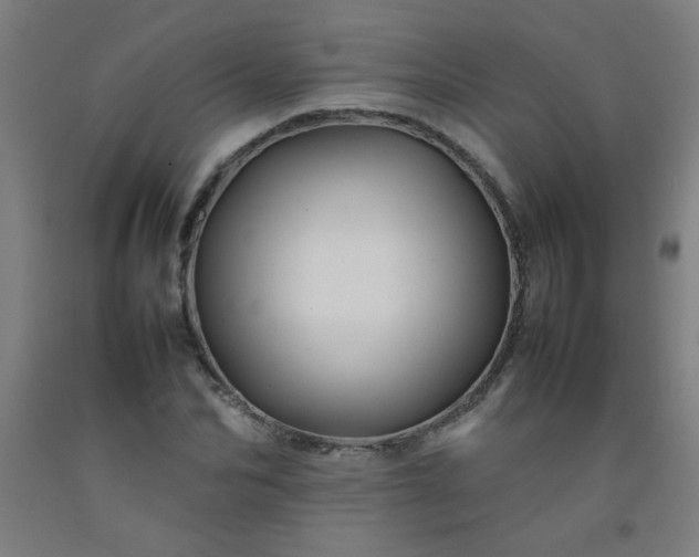 X0000092210974200709281019