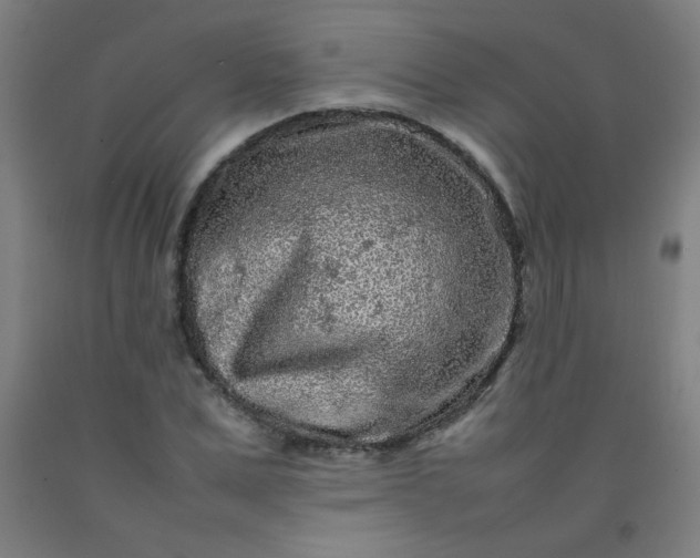 X0000092210975200709281019