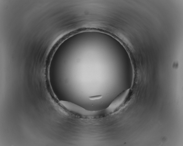 X0000092210976200709281019