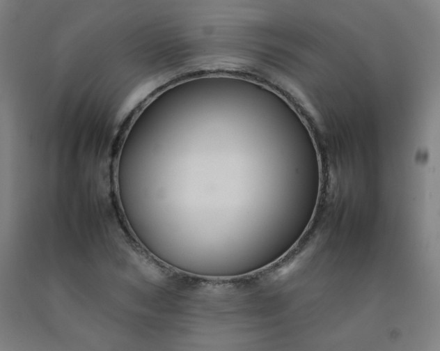 X0000092210978200709281019