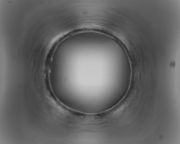 X0000092210979200709281019